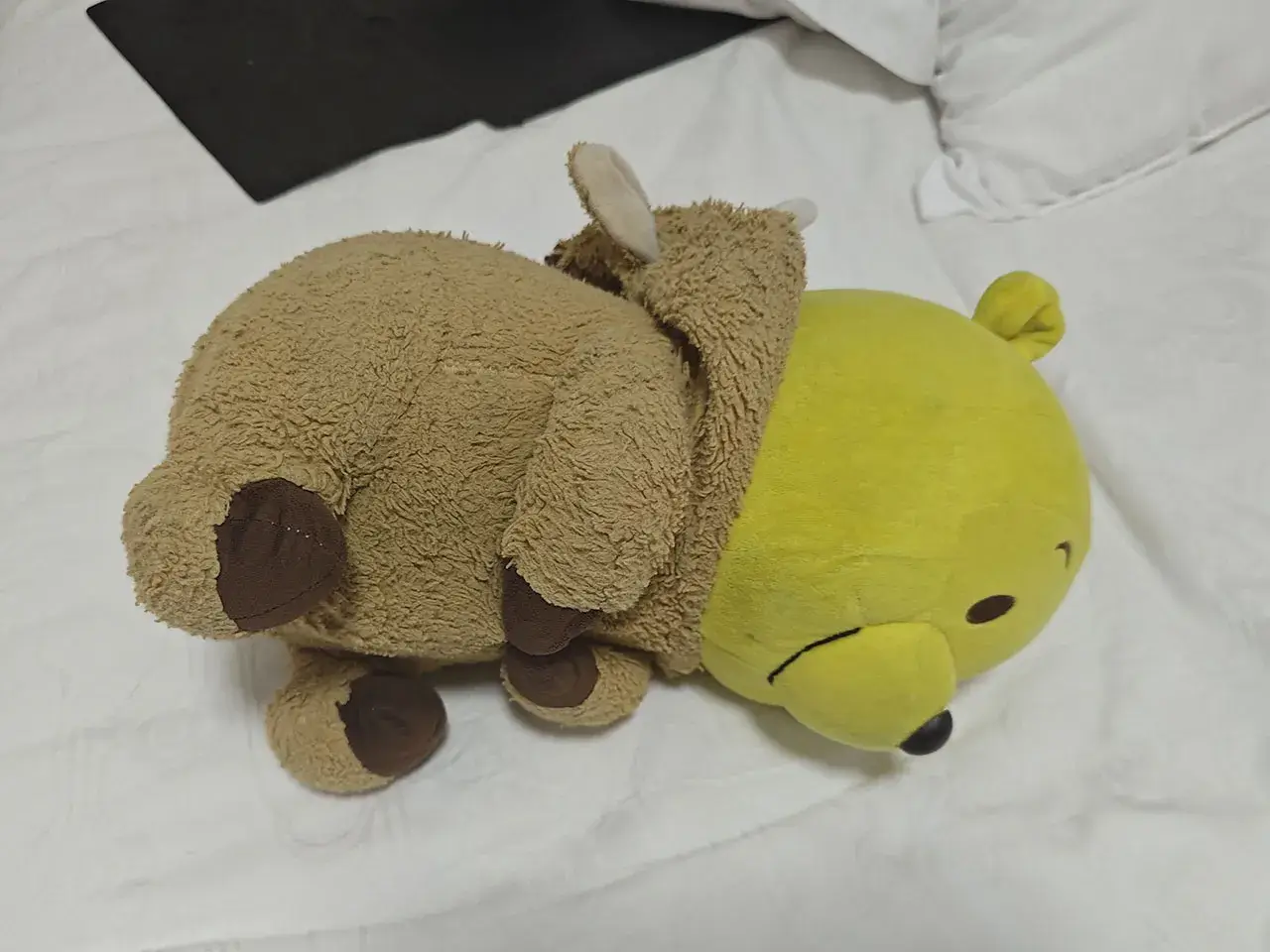 躺!